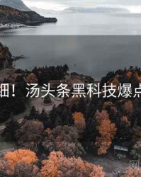 超详细！汤头条黑科技爆点整理