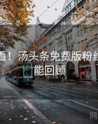 冲浪必看！汤头条免费版粉丝狂欢高能回顾