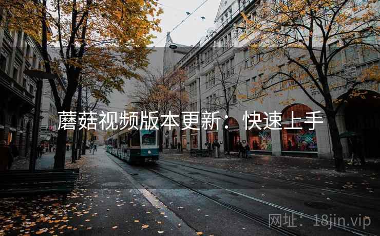 蘑菇视频版本更新：快速上手