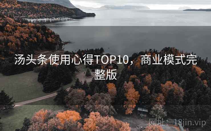 汤头条使用心得TOP10，商业模式完整版